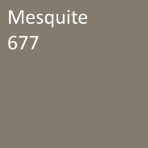 mesquite